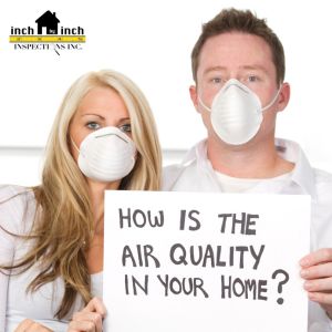 home air quality testing mold