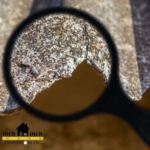 asbestos inspection in toronto