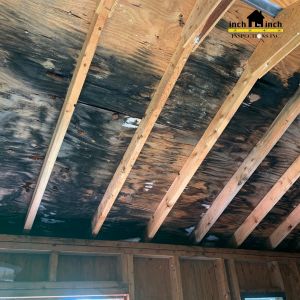 Why Proper Ventilation is Key to Preventing Attic Mold in Mississauga