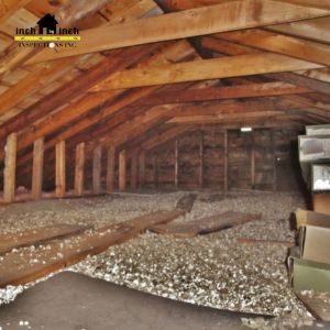 attic mold removal toronto